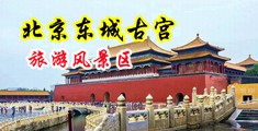 肏熟屄中国北京-东城古宫旅游风景区